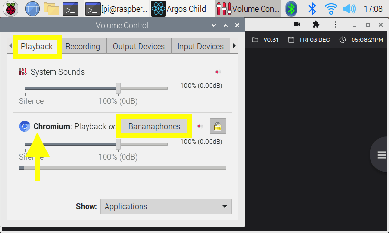 pulseaudio output