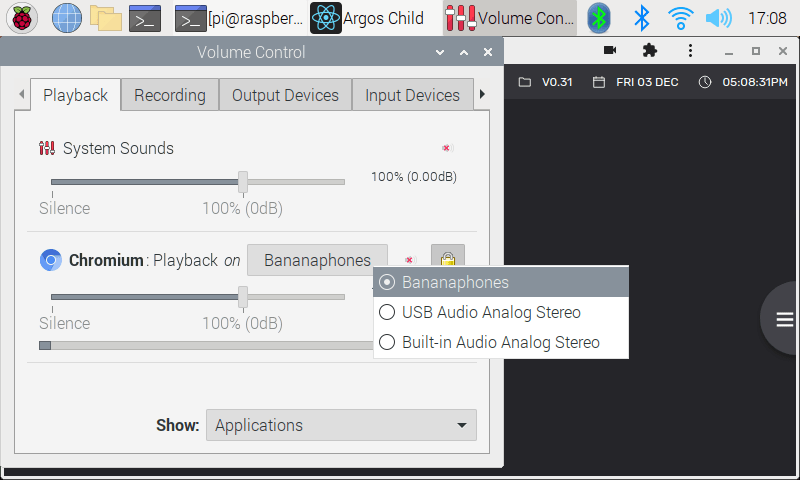 pulseaudio output