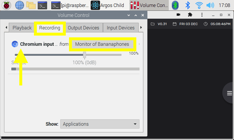 pulseaudio input